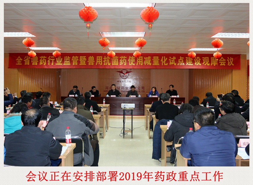 行业监管试点观摩 远征“减抗”积极响应